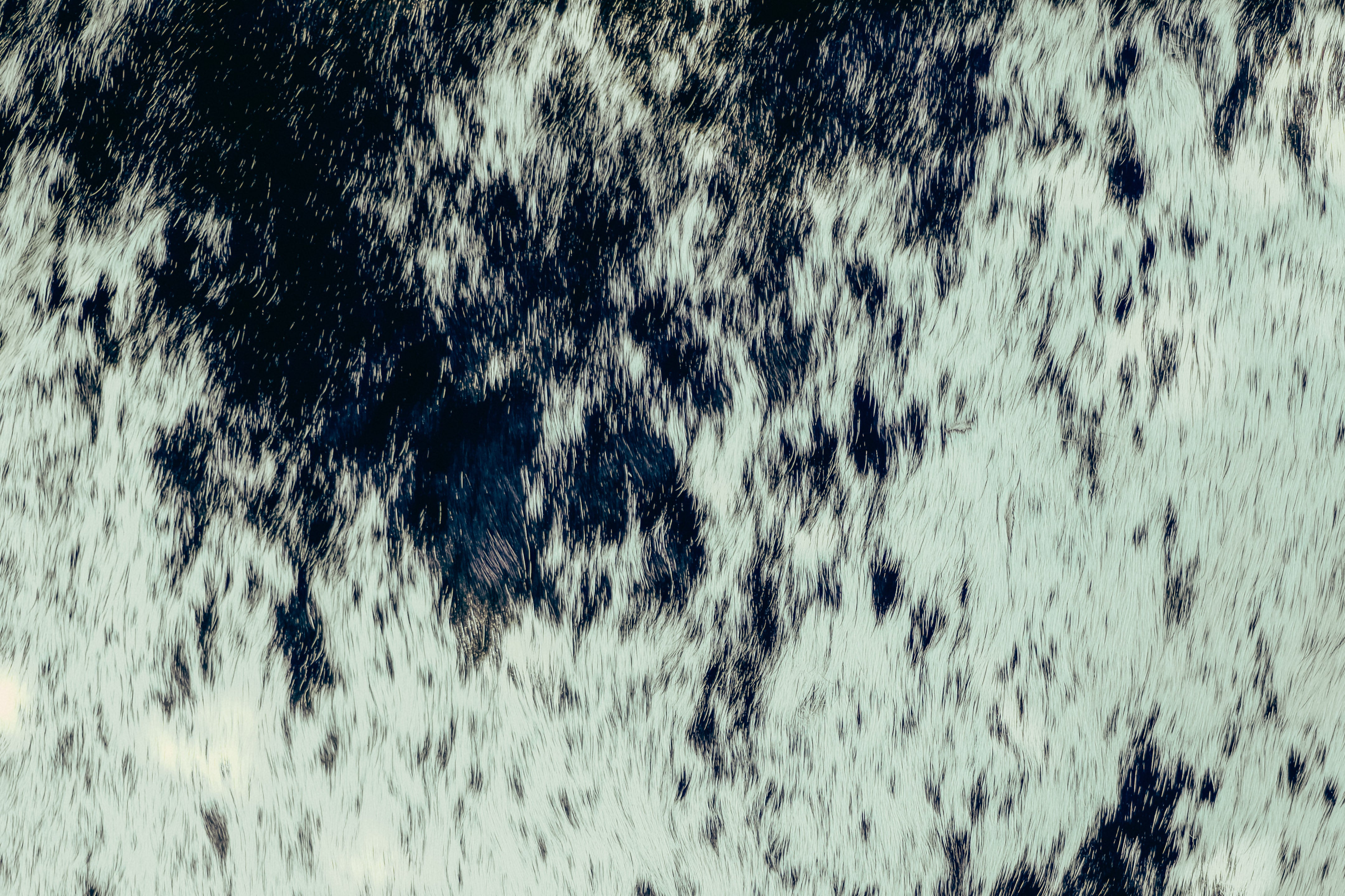 Sutim - IXCHELTRIANGLE